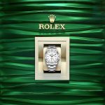 Rolex Oyster Perpetual Explorer II 226570 Series - Image 10